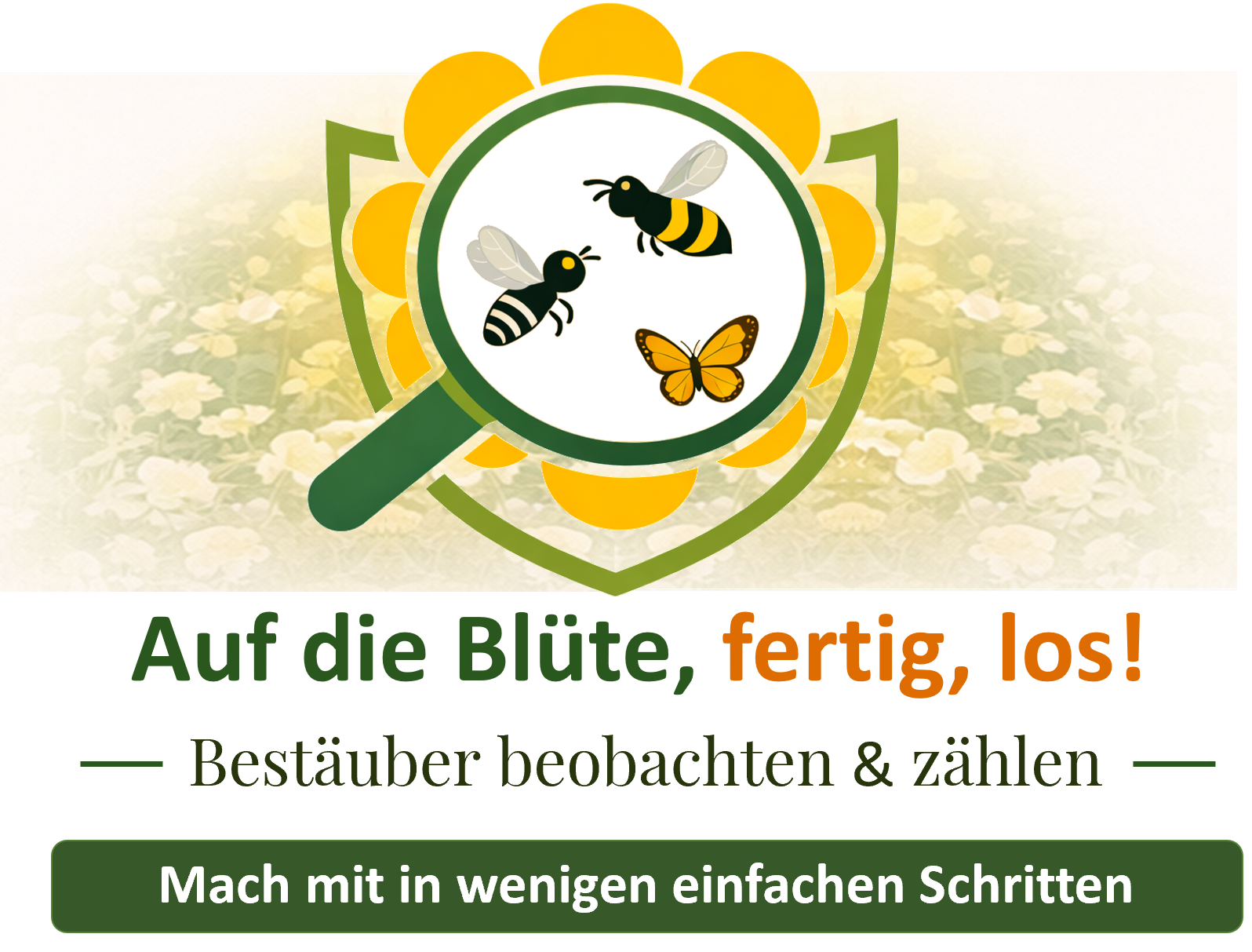 Im Rahmen des von der Europäischen Union geförderten Projekts BEE-GUARDS startet 2026 eine Citizen-Science-Aktivität, die sich der Beobachtung der Interaktion von Pflanzen und Bestäubern widmet..png