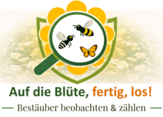 Im Rahmen des von der Europäischen Union geförderten Projekts BEE-GUARDS startet 2026 eine Citizen-Science-Aktivität, die sich der Beobachtung der Interaktion von Pflanzen und Bestäubern widmet..png