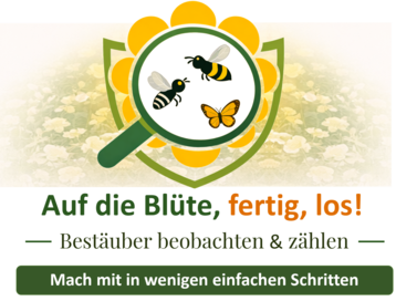 Im Rahmen des von der Europäischen Union geförderten Projekts BEE-GUARDS startet 2026 eine Citizen-Science-Aktivität, die sich der Beobachtung der Interaktion von Pflanzen und Bestäubern widmet..png