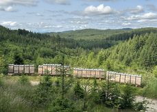 Wandervölker der Bio‑Imkerei Heftberger im Hausruckwald..jpg