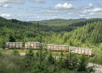 Wandervölker der Bio‑Imkerei Heftberger im Hausruckwald..jpg
