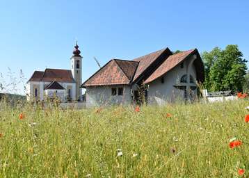 Blühender Friedhof: Verblühtes stehen lassen – Lebensraum für Insekten..jpg