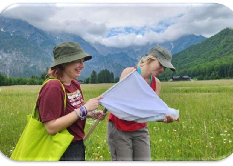 Biodiversitätsprojekt in Grünau, OÖ.jpg