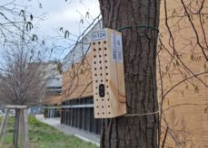 UrbanBEE Projekt - Wildbienenhotel.png