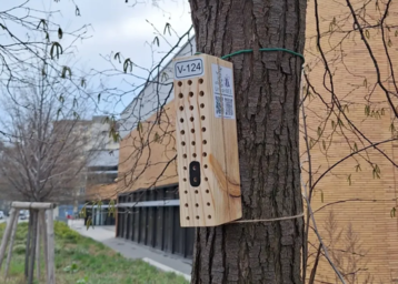 UrbanBEE Projekt - Wildbienenhotel.png