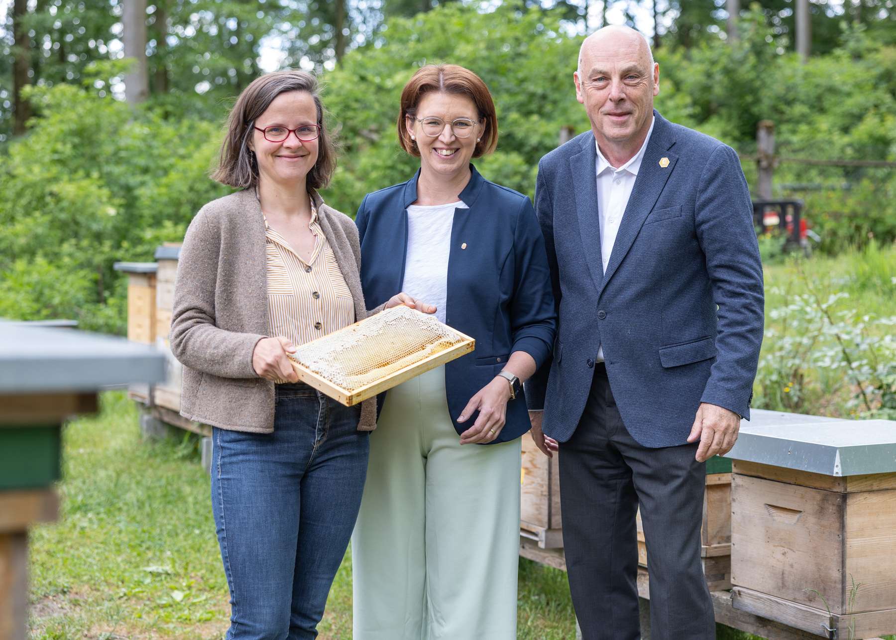 Die heurige Honigernte 2026 war für die oberösterreichischen Imkerinnen und Imker sehr erfolgreich!.jpg