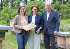 Die heurige Honigernte 2026 war für die oberösterreichischen Imkerinnen und Imker sehr erfolgreich!.jpg