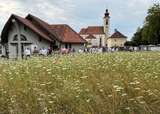 Am 26. Juli organisierte die Pfarre eine Informationsveranstaltung direkt vor Ort, die auf großes Interesse und sehr positive Resonanz bei den Besucherinnen und Besuchern stieß..jpg