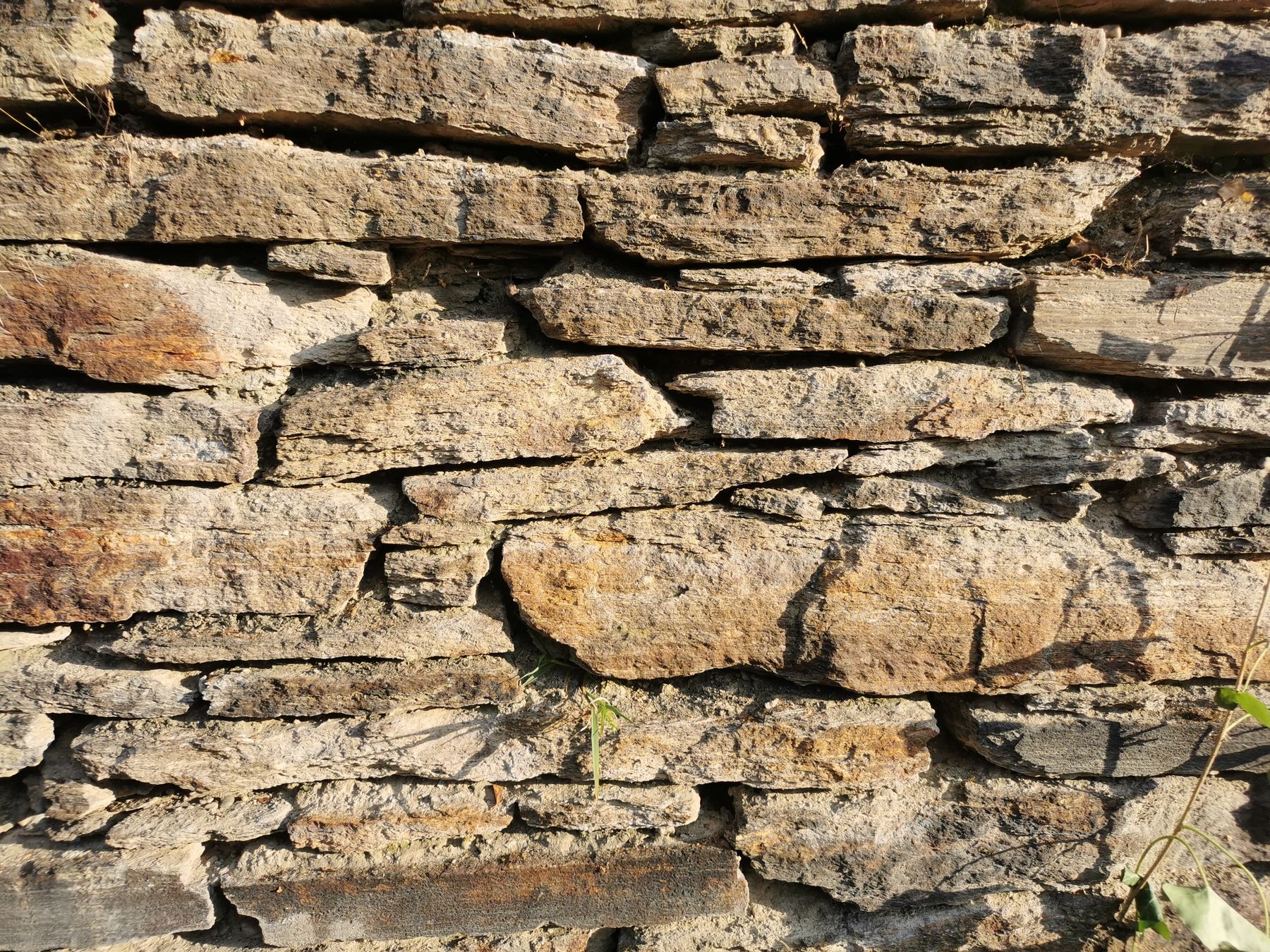 Trockensteinmauer: am 3.10 geht's um den fachgerechten Bau eines Reptilienbiotops und Trockensteinhaufens. .jpg