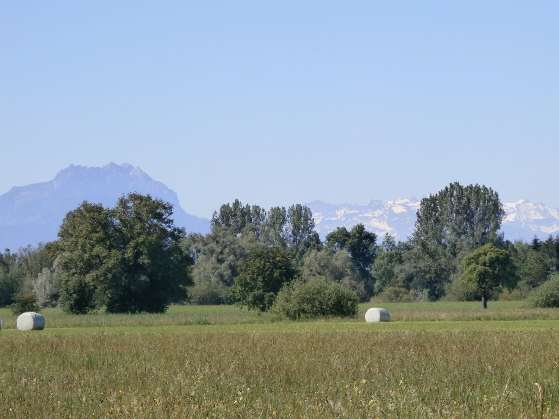 Biodiversität am Landwirtschaftsbetrieb .jpg
