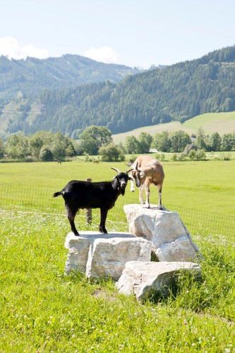 Pflegeeinrichtung_Adelwöhrerhof.jpg  Pflegeeinrichtung_Adelwöhrerhof.jpg