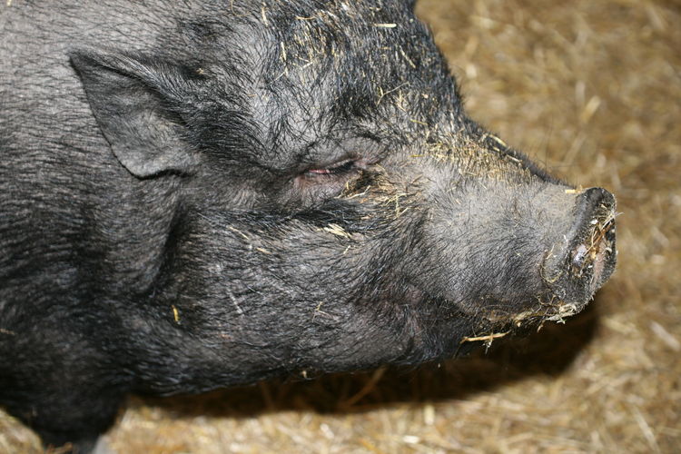 Esperanza_(c)_Maja_Peters_(1).jpg © Green Care Team Esperanza_(c)_Maja_Peters_(1).jpg © Green Care Team