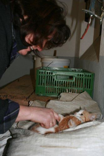 Himmelschlüsselhof_(c)_Maja_Peters_(26).jpg © Green Care Team Himmelschlüsselhof_(c)_Maja_Peters_(26).jpg © Green Care Team