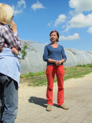 2013_05_22_GC_Exkursion_WUK_Biopflanzen_(c)_Herdlicka_(32).jpg © Green Care Team 2013_05_22_GC_Exkursion_WUK_Biopflanzen_(c)_Herdlicka_(32).jpg © Green Care Team