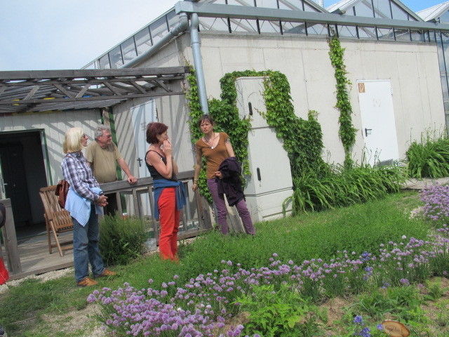 2013_05_22_GC_Exkursion_WUK_Biopflanzen_(c)_Herdlicka_(37).jpg © Green Care Team 2013_05_22_GC_Exkursion_WUK_Biopflanzen_(c)_Herdlicka_(37).jpg © Green Care Team