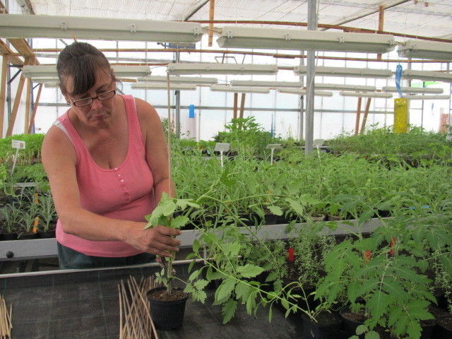 2013_05_22_GC_Exkursion_WUK_Biopflanzen_(c)_Herdlicka_(51).jpg © Green Care Team 2013_05_22_GC_Exkursion_WUK_Biopflanzen_(c)_Herdlicka_(51).jpg © Green Care Team