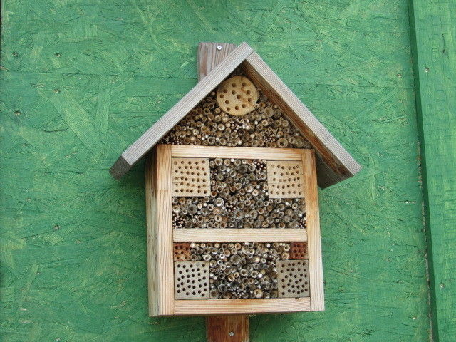 2013_05_22_GC_Exkursion_WUK_Biopflanzen_(c)_Herdlicka_(54).jpg © Green Care Team 2013_05_22_GC_Exkursion_WUK_Biopflanzen_(c)_Herdlicka_(54).jpg © Green Care Team