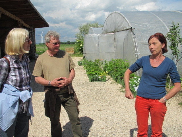 2013_05_22_GC_Exkursion_WUK_Biopflanzen_(c)_Herdlicka_(59).jpg © Green Care Team 2013_05_22_GC_Exkursion_WUK_Biopflanzen_(c)_Herdlicka_(59).jpg © Green Care Team