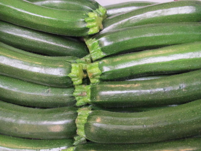 2013_05_22_Green_Care_Exkursion_Adamah_(c)_Herdlicka_(68).jpg © Green Care Team 2013_05_22_Green_Care_Exkursion_Adamah_(c)_Herdlicka_(68).jpg © Green Care Team