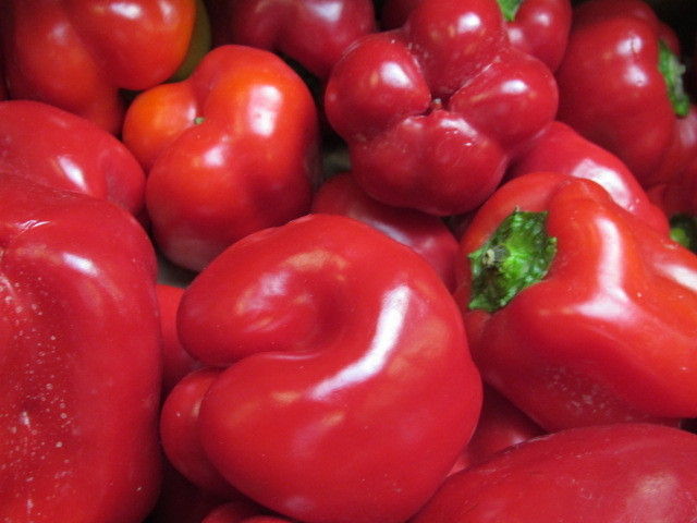 2013_05_22_Green_Care_Exkursion_Adamah_(c)_Herdlicka_(69).jpg © Green Care Team 2013_05_22_Green_Care_Exkursion_Adamah_(c)_Herdlicka_(69).jpg © Green Care Team