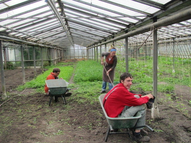 2013_05_22_Green_Care_Exkursion_GIN_(c)_Herdlicka_(77).jpg © Green Care Team 2013_05_22_Green_Care_Exkursion_GIN_(c)_Herdlicka_(77).jpg © Green Care Team