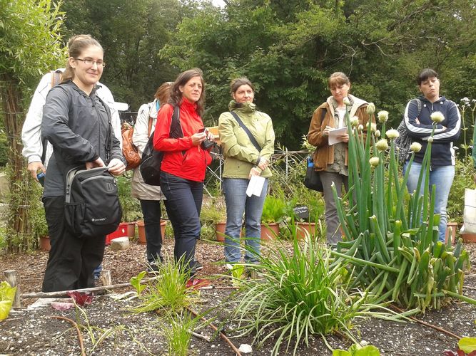 2013-06-06_City Farm Schönbrunn_3.jpg © Green Care Team 2013-06-06_City Farm Schönbrunn_3.jpg © Green Care Team