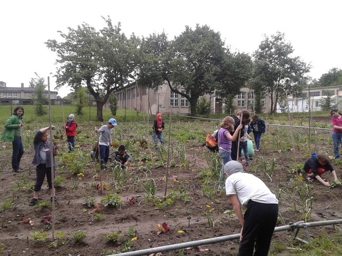2013-06-06_City Farm Schönbrunn_5.jpg © Green Care Team 2013-06-06_City Farm Schönbrunn_5.jpg © Green Care Team