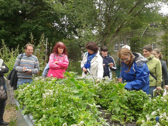 2013-06-06_11.14.34.jpg © Green Care Team 2013-06-06_11.14.34.jpg © Green Care Team