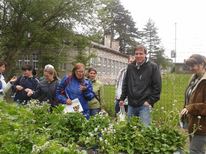 2013-06-06_City Farm Schönbrunn_7.jpg © Green Care Team 2013-06-06_City Farm Schönbrunn_7.jpg © Green Care Team