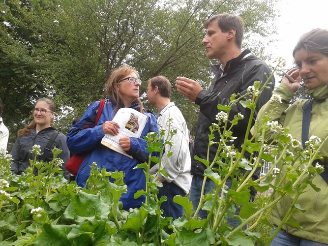 2013-06-06_City Farm Schönbrunn_8.jpg © Green Care Team 2013-06-06_City Farm Schönbrunn_8.jpg © Green Care Team