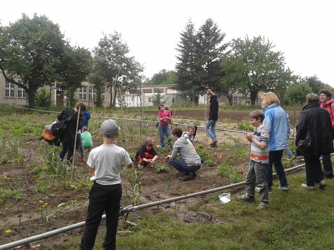 Exkursion_City_Farm_Schönbrunn.jpg © Green Care Team Exkursion_City_Farm_Schönbrunn.jpg © Green Care Team