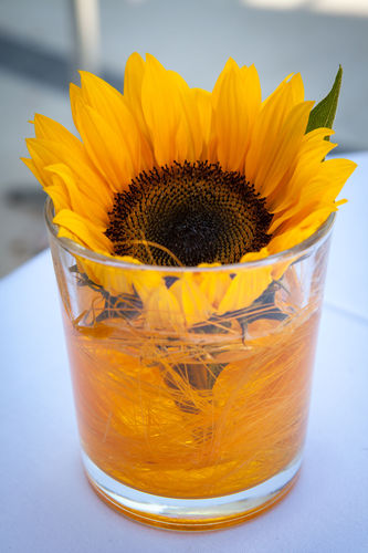 2._GC_Tagung_(267)_(c)_Poncioni.jpg ©  Poncioni 2._GC_Tagung_(267)_(c)_Poncioni.jpg ©  Poncioni