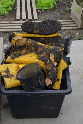 (c)_LK_Wien_(2).jpg © Green Care Team (c)_LK_Wien_(2).jpg © Green Care Team