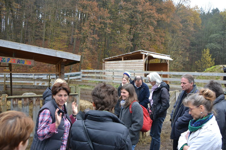 (c)_LK_Wien_(64).jpg  (c)_LK_Wien_(64).jpg