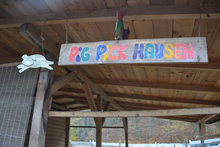 (c)_LK_Wien_(65).jpg  (c)_LK_Wien_(65).jpg