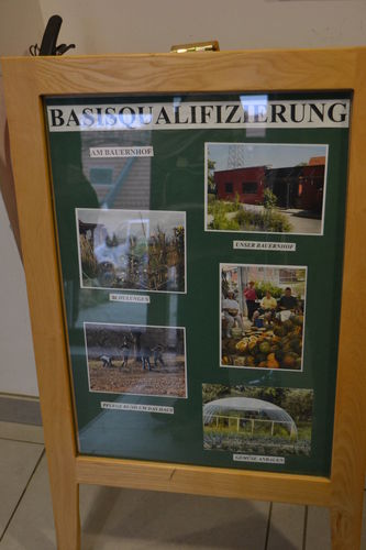 (c)_LK_Wien_(9).jpg © Green Care Team (c)_LK_Wien_(9).jpg © Green Care Team