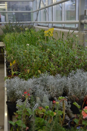 (c)_LK_Wien_(11).jpg © Green Care Team (c)_LK_Wien_(11).jpg © Green Care Team