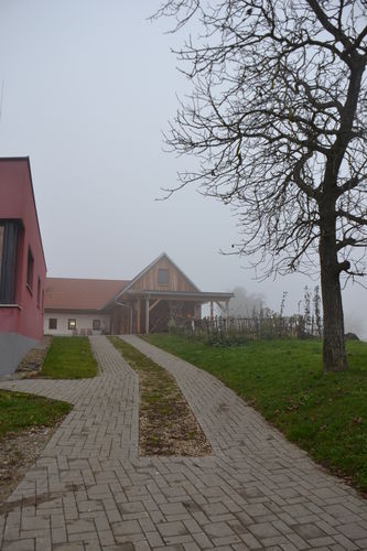 (c)_LK_Wien_(14).jpg © Green Care Team (c)_LK_Wien_(14).jpg © Green Care Team