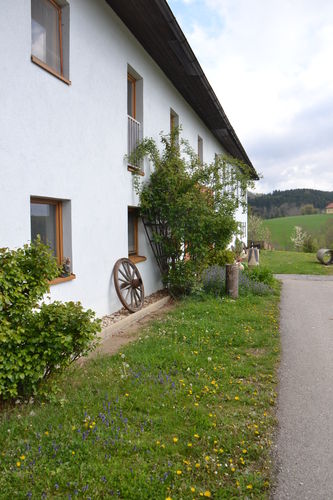 DSC_0821.jpg  DSC_0821.jpg