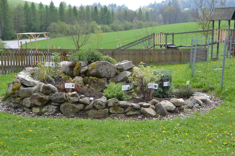 DSC_0822.jpg  DSC_0822.jpg