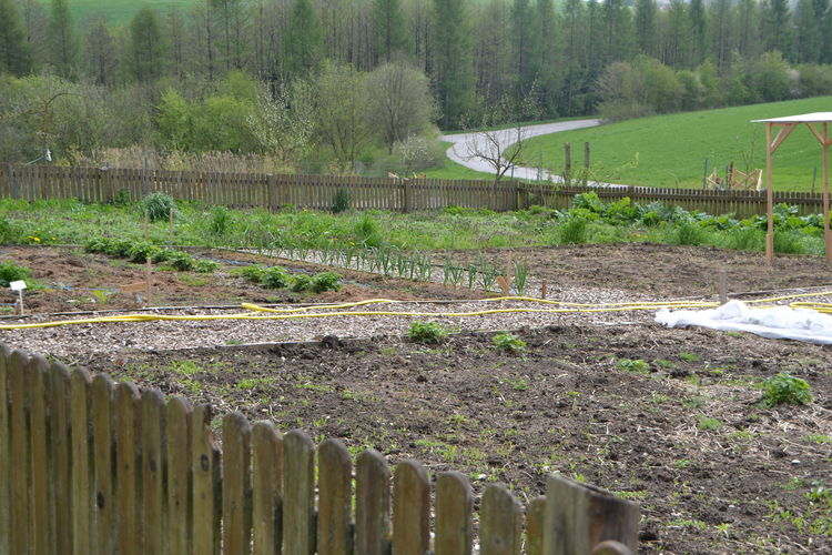 DSC_0823.jpg  DSC_0823.jpg