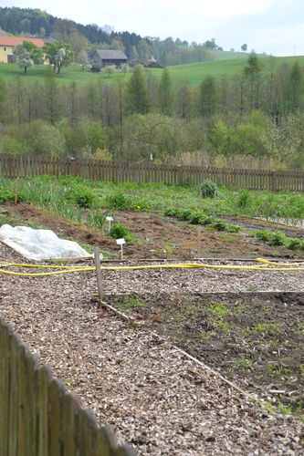 DSC_0824.jpg  DSC_0824.jpg