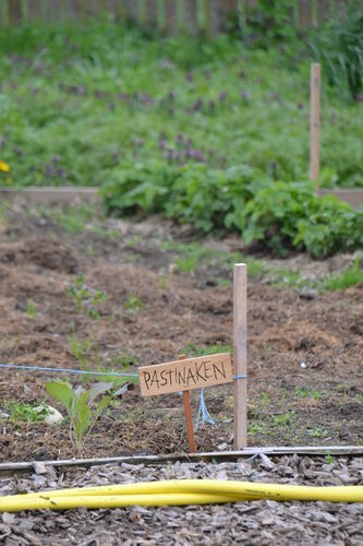 DSC_0833.jpg  DSC_0833.jpg