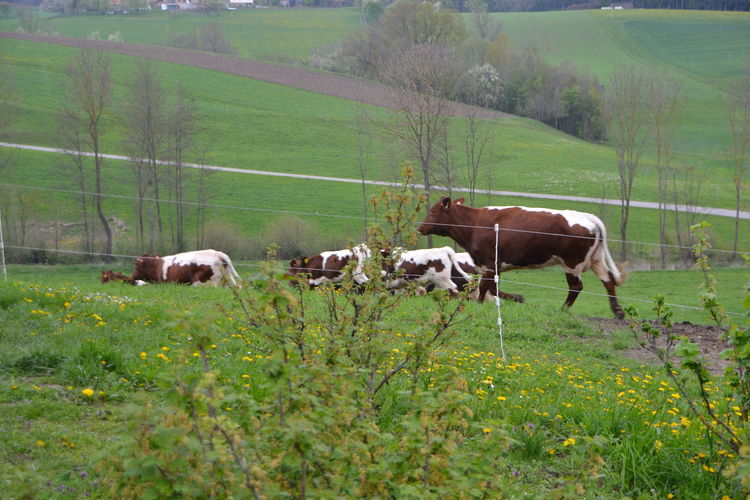 DSC_0836.jpg  DSC_0836.jpg