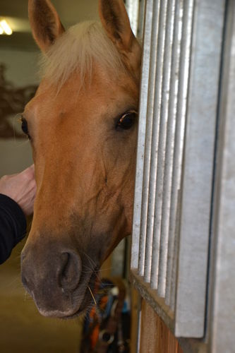 DSC_0858.jpg  DSC_0858.jpg