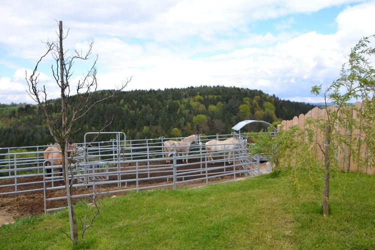 DSC_0868.jpg  DSC_0868.jpg