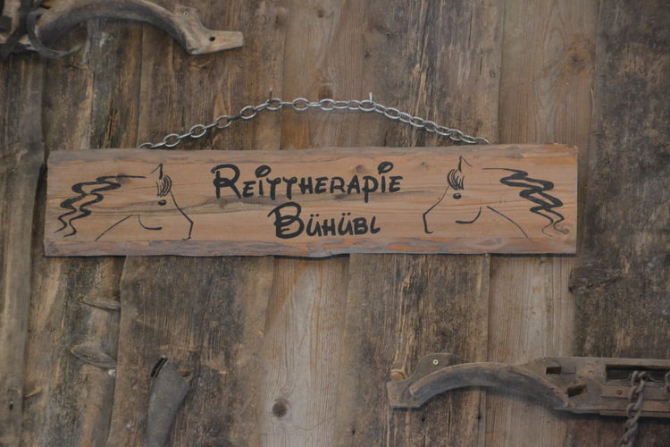 DSC_0875.jpg  DSC_0875.jpg