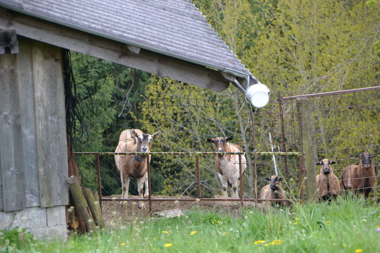 DSC_0880.jpg  DSC_0880.jpg