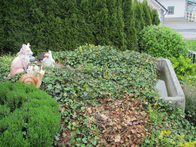 Exkursion OÖ am 29. April 2014 Franzlhof.jpg © Green Care Team Exkursion OÖ am 29. April 2014 Franzlhof.jpg © Green Care Team