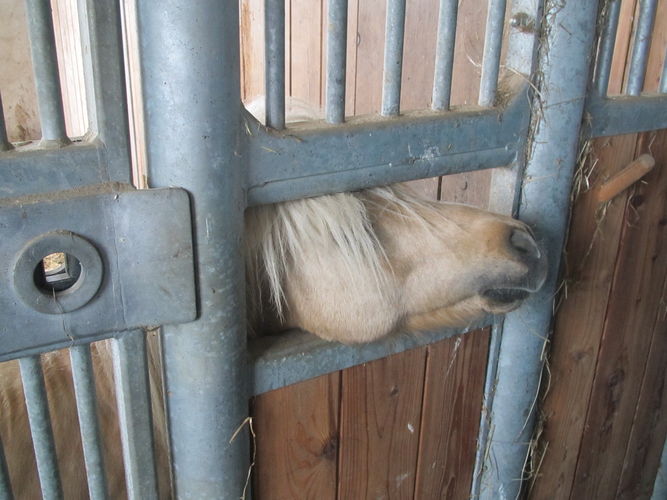 Exkursion OÖ am 29. April 2014 Franzlhof.jpg © Green Care Team Exkursion OÖ am 29. April 2014 Franzlhof.jpg © Green Care Team